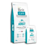 Brit Care Adult Salmon & Potato