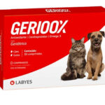 Gerioox (Labyes)