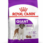 ROYAL CANIN GIANT ADULTO X 15KG
