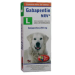 GABAPENTIN L 250 mg x 30 pastillas