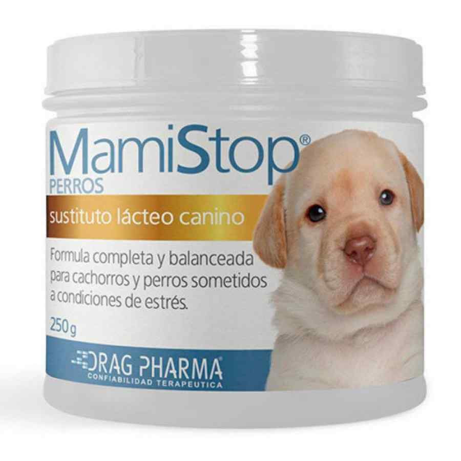 1181.jpg MamiStop / Sustituto Lácteo en polvo 1 unidad x 250gr - Imagen 1