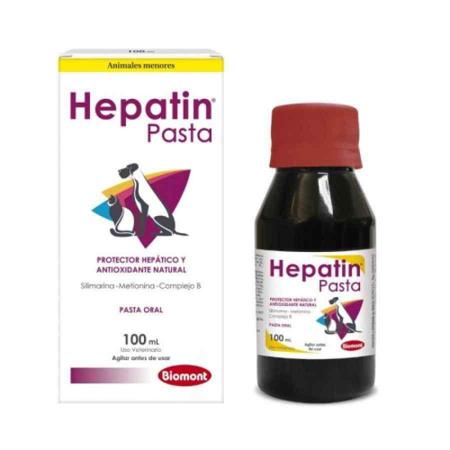 1199.jpg Hepatin Pasta Oral X 100ml - Imagen 1