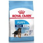 ROYAL CANIN MAXI PUPPY X 10 KG