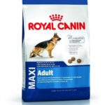 ROYAL CANIN MAXI ADULT X 15KG