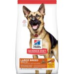 Hill's® Science Diet® Adult 6+ Large Breed