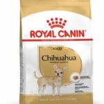 ROYAL CANIN BHN CHIHUAHUA ADULT X 3 KG