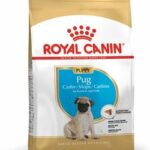 ROYAL CANIN BHN PUG PUPPY X 1.5 KG