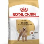 ROYAL CANIN BHN POODLE ADULT X 1.5 KG