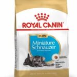 ROYAL CANIN BHN SCHNAUZER JUNIOR X 1.5 KG
