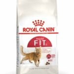 ROYAL CANIN FHN FIT32 X 2KG