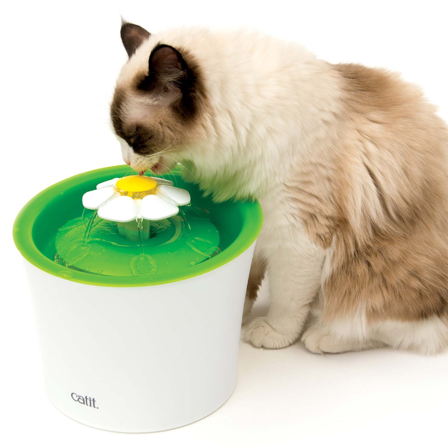 575.jpg CAT IT fuente de agua Gato - Imagen 1