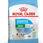 ROYAL CANIN SHN MINI STARTER M&B X 4KG