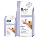 BRIT VET GASTROINTESTINAL (Perro)