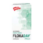 Floxaday Inyectable Levofloxacina 50 ml - Holliday