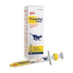 Poten Pet Gato Pasta Revitalizante 7 g - Holliday