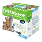Viyo Fortalece Gatos Bebida Prebiótica x 7 sobres