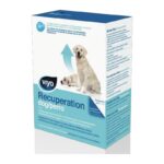 Viyo Recuperation Perros Bebida de Recuperación x 3 botellas